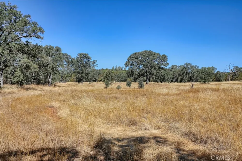 3000 State hwy 53 Clearlake, CA 95422