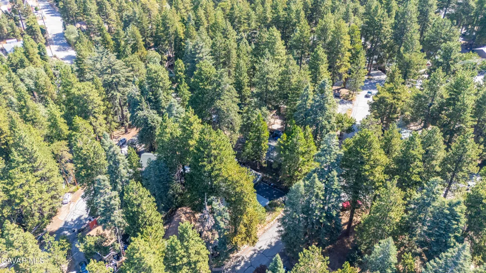 31430 Frontier Drive Running Springs, CA 92382