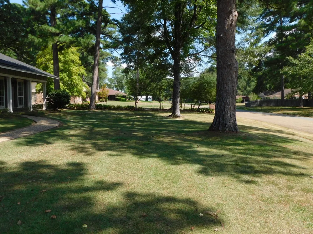 1014 Janice Drive Springhill, LA 71075
