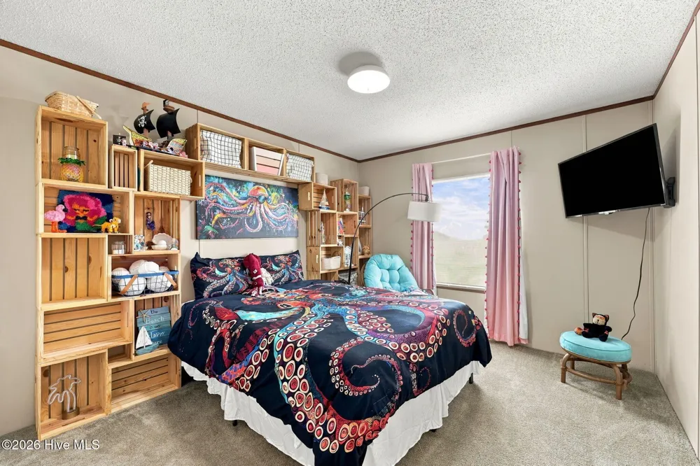 238 Lucille Lewis Drive Marshallberg, NC 28553