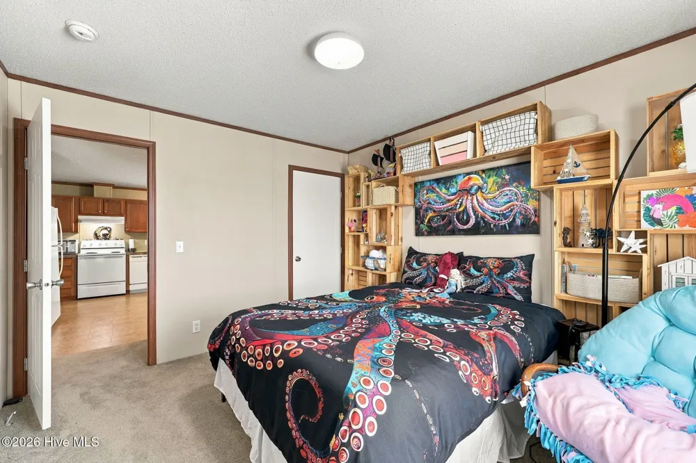 238 Lucille Lewis Drive Marshallberg, NC 28553