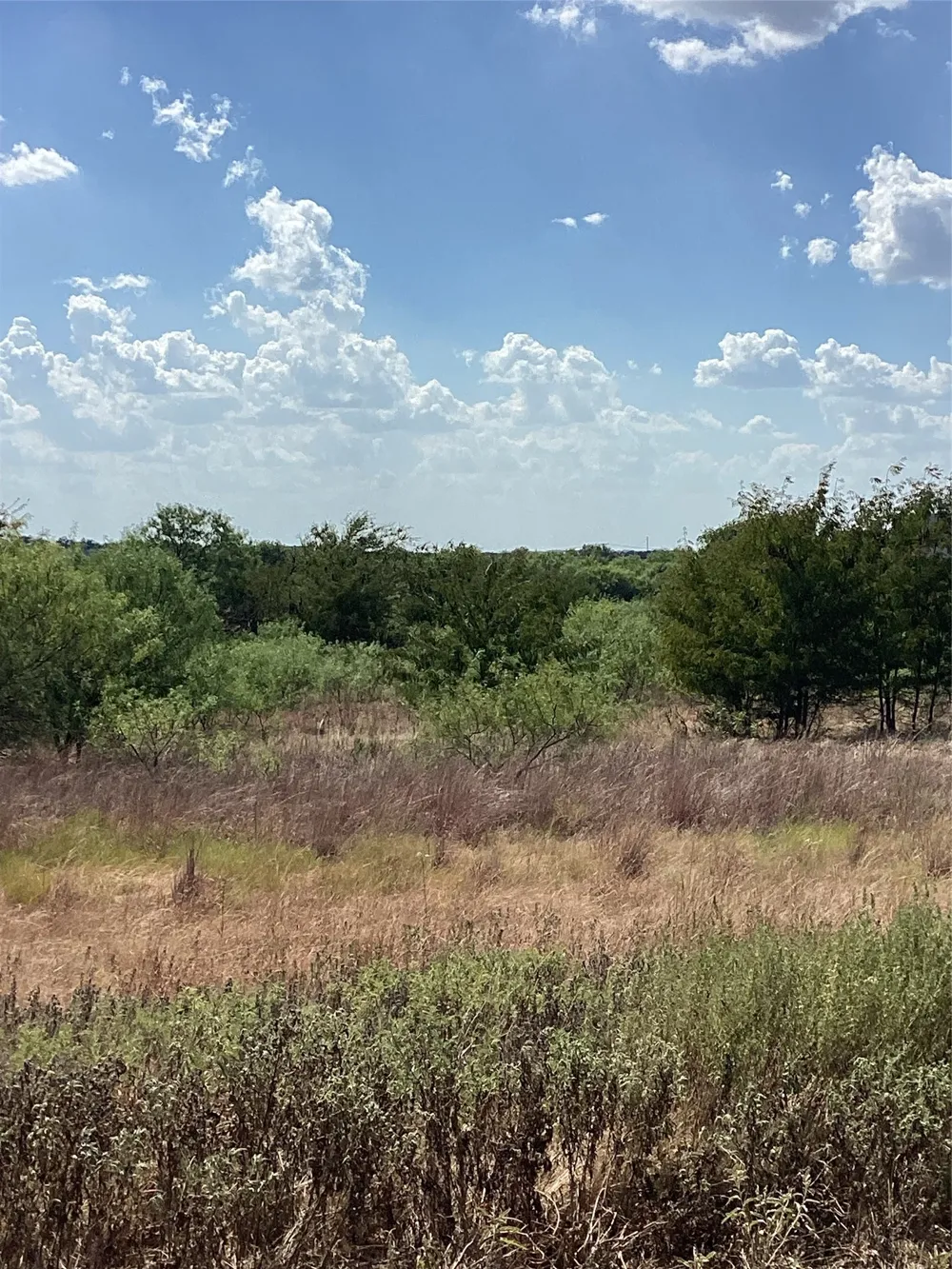 808 San Jacinto drive Aledo, TX 76008