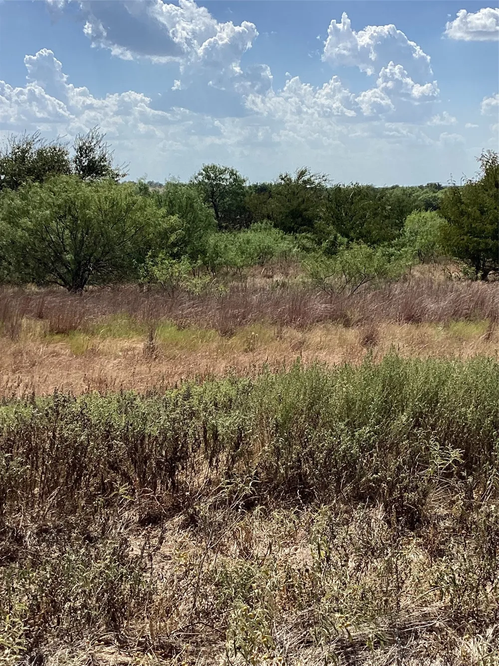 808 San Jacinto drive Aledo, TX 76008