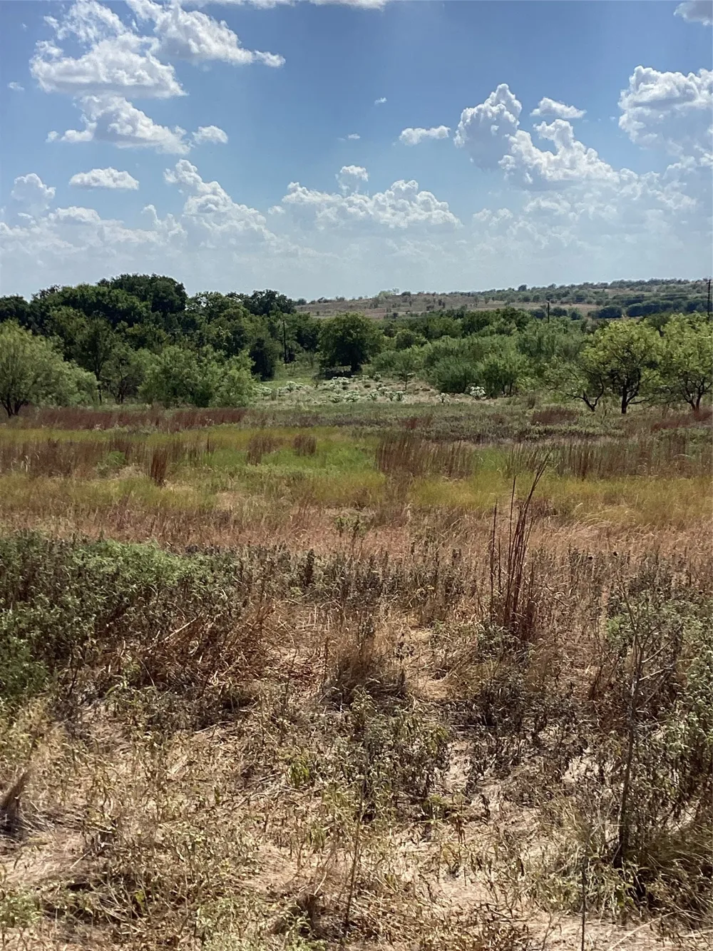 808 San Jacinto drive Aledo, TX 76008