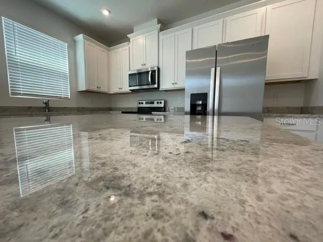 1136 LAKESHORE BREEZE PLACE Kissimmee, FL 34747