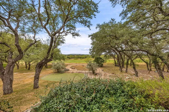 265 FOSSIL HILLS LOOP Spring Branch, TX 78070