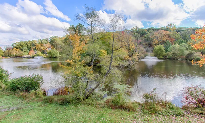 16 Mendham Ave Morris, NJ 07960