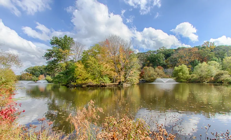 16 Mendham Ave Morris, NJ 07960