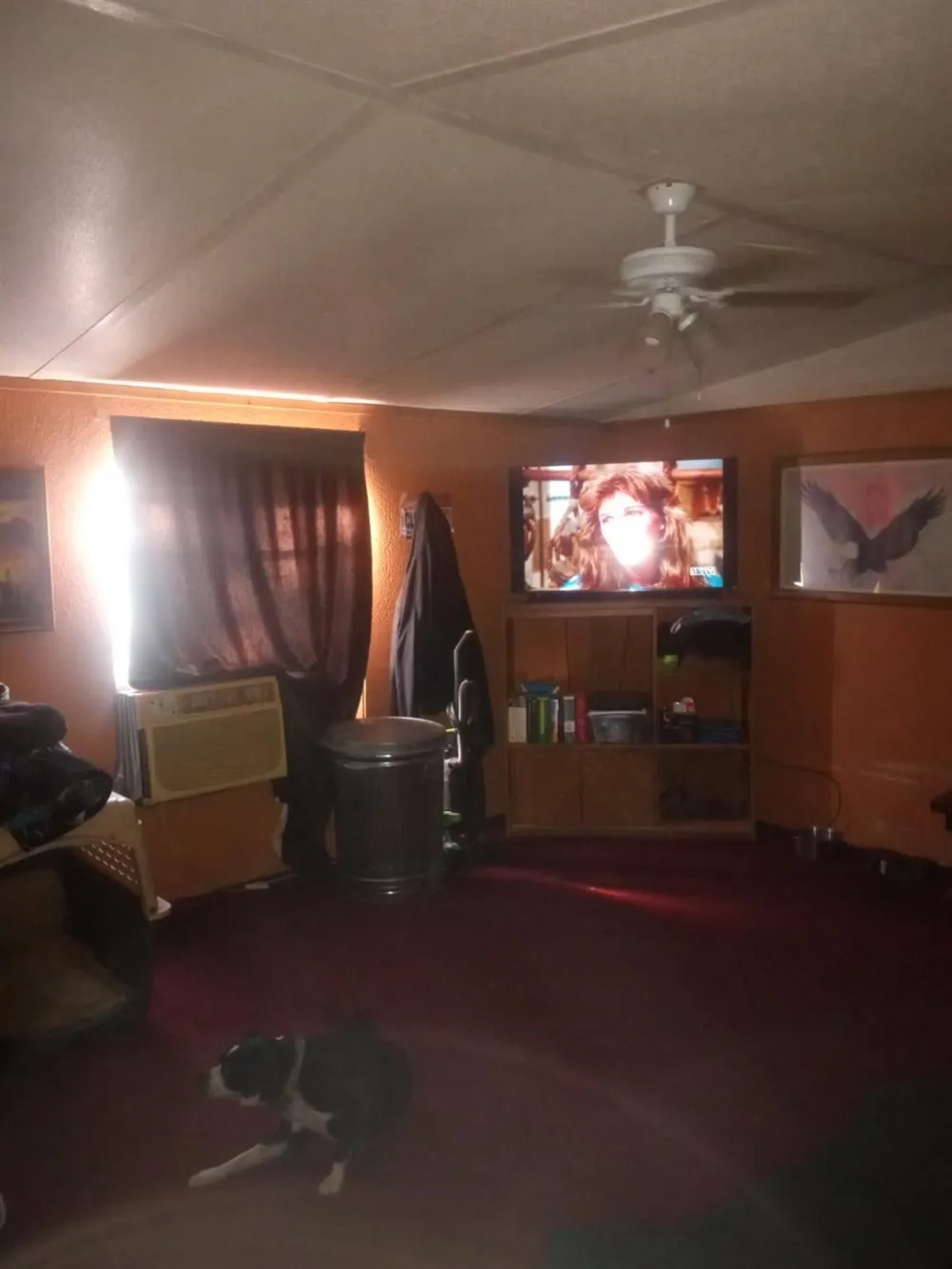 355 Smith Circle Point, TX 75472