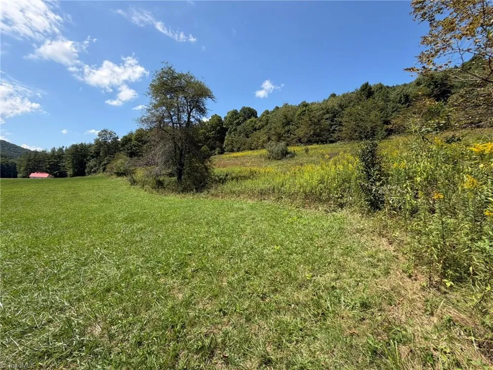 108-B E Mill Creek Road Fleetwood, NC 28684