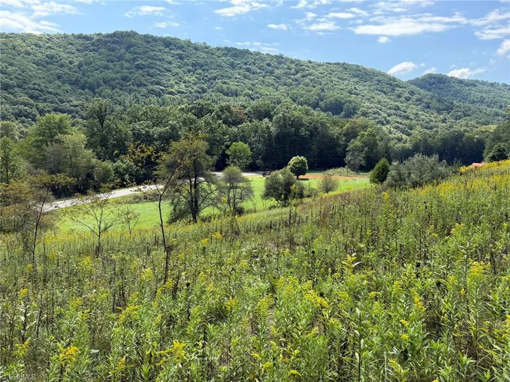 108-B E Mill Creek Road Fleetwood, NC 28684