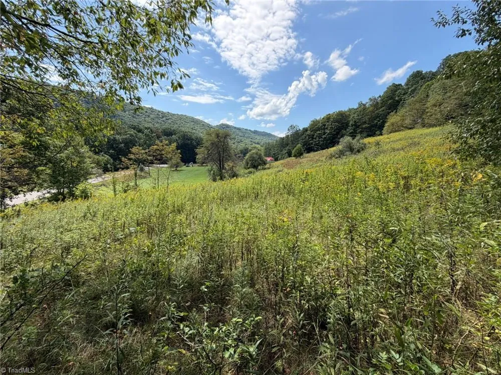108-B E Mill Creek Road Fleetwood, NC 28684