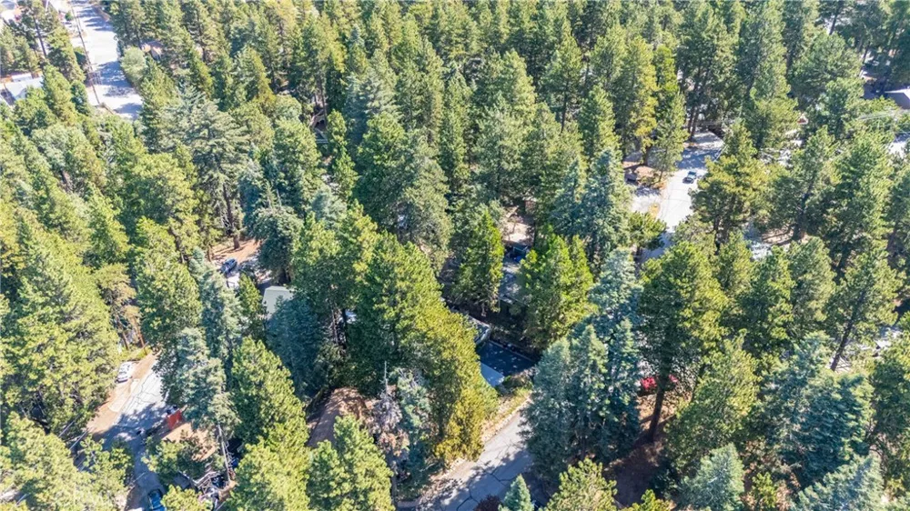 31430 Frontier Running Springs, CA 92382
