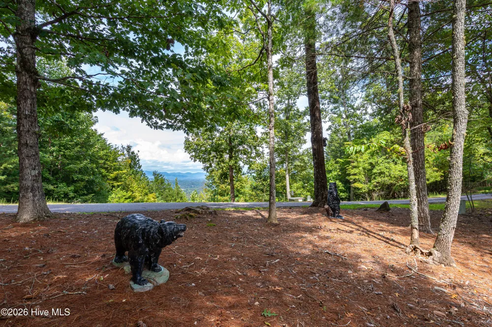 635 Brasstown View Road Murphy, NC 28906