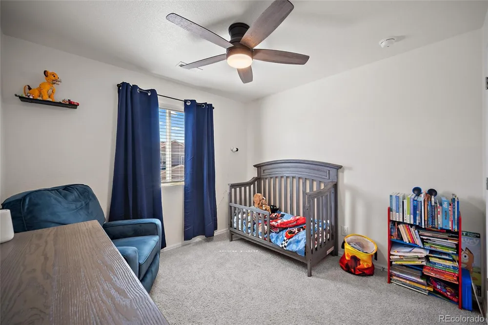 11772 Cordgrass Way Parker, CO 80138