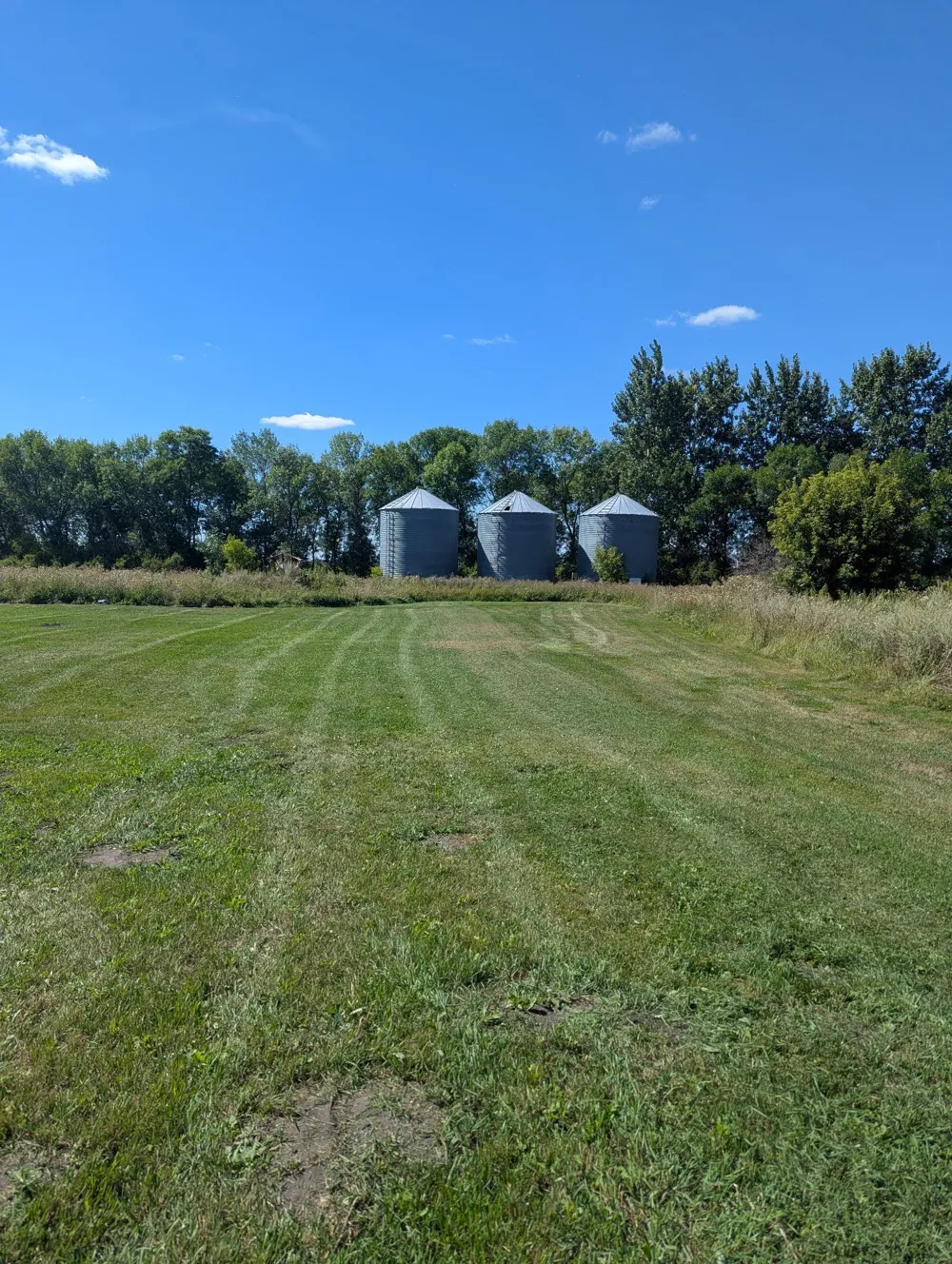 39909 270th Avenue NW Stephen, MN 56757
