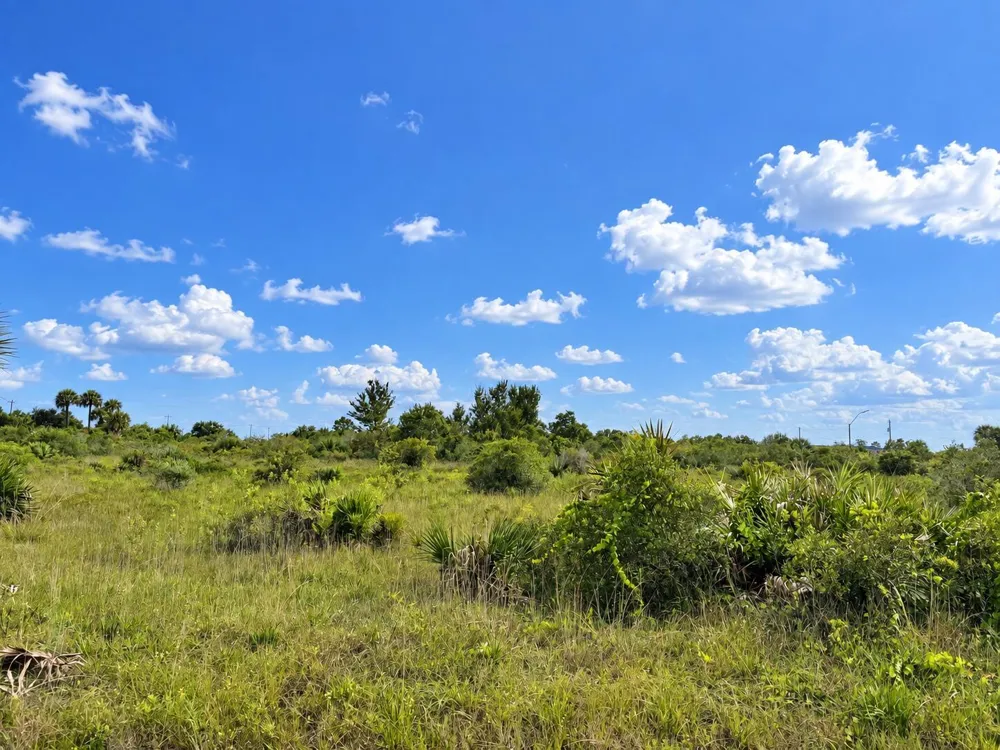 14516 NW 280TH STREET Okeechobee, FL 34972