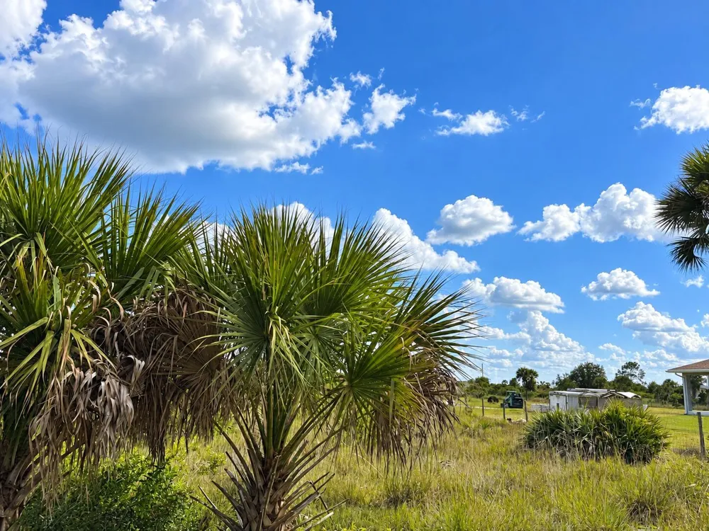 14516 NW 280TH STREET Okeechobee, FL 34972