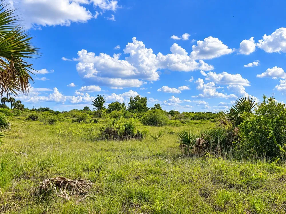 14516 NW 280TH STREET Okeechobee, FL 34972
