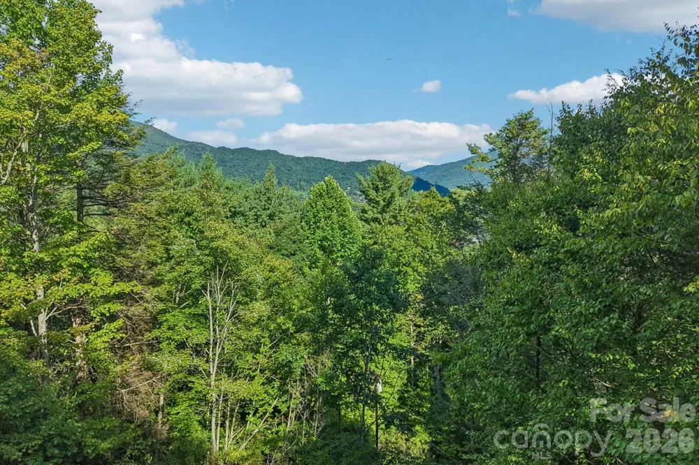 782 Setzer Cove Road Maggie Valley, NC 28751