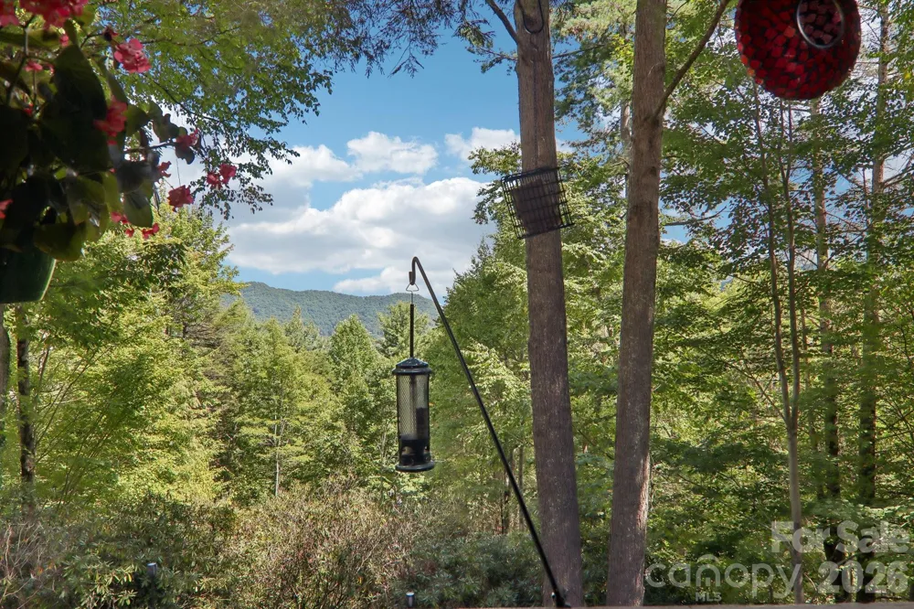 782 Setzer Cove Road Maggie Valley, NC 28751