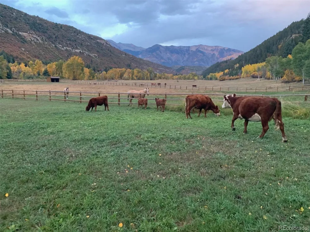 27711 County Road 12 Somerset, CO 81434