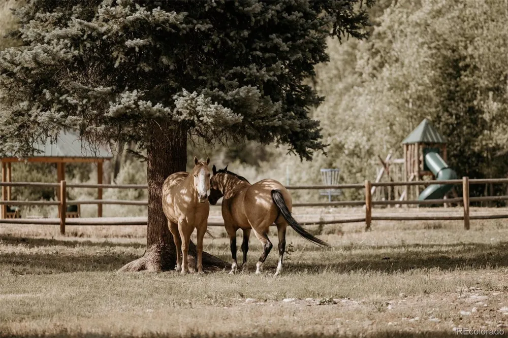 27711 County Road 12 Somerset, CO 81434