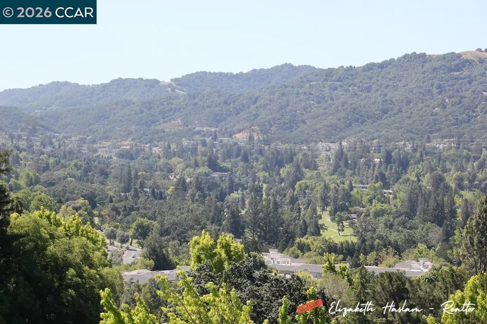 2877 Ptarmigan Dr #2 Walnut Creek, CA 94595
