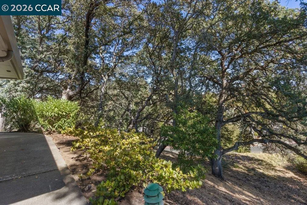 2877 Ptarmigan Dr #2 Walnut Creek, CA 94595