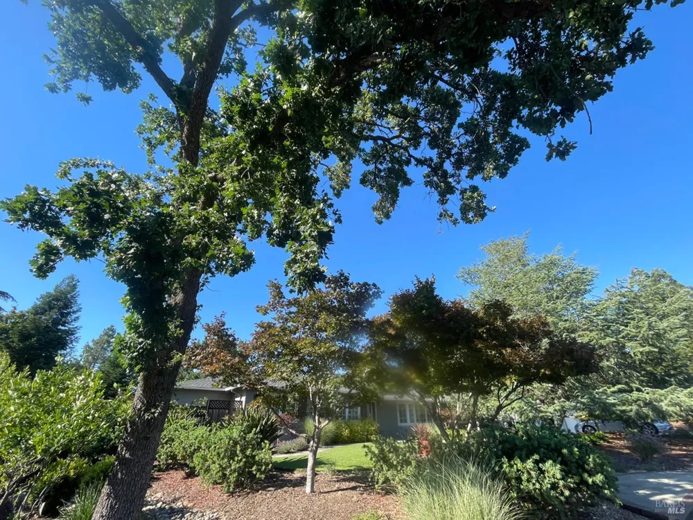 189 El Camino Corto Walnut Creek, CA 94596