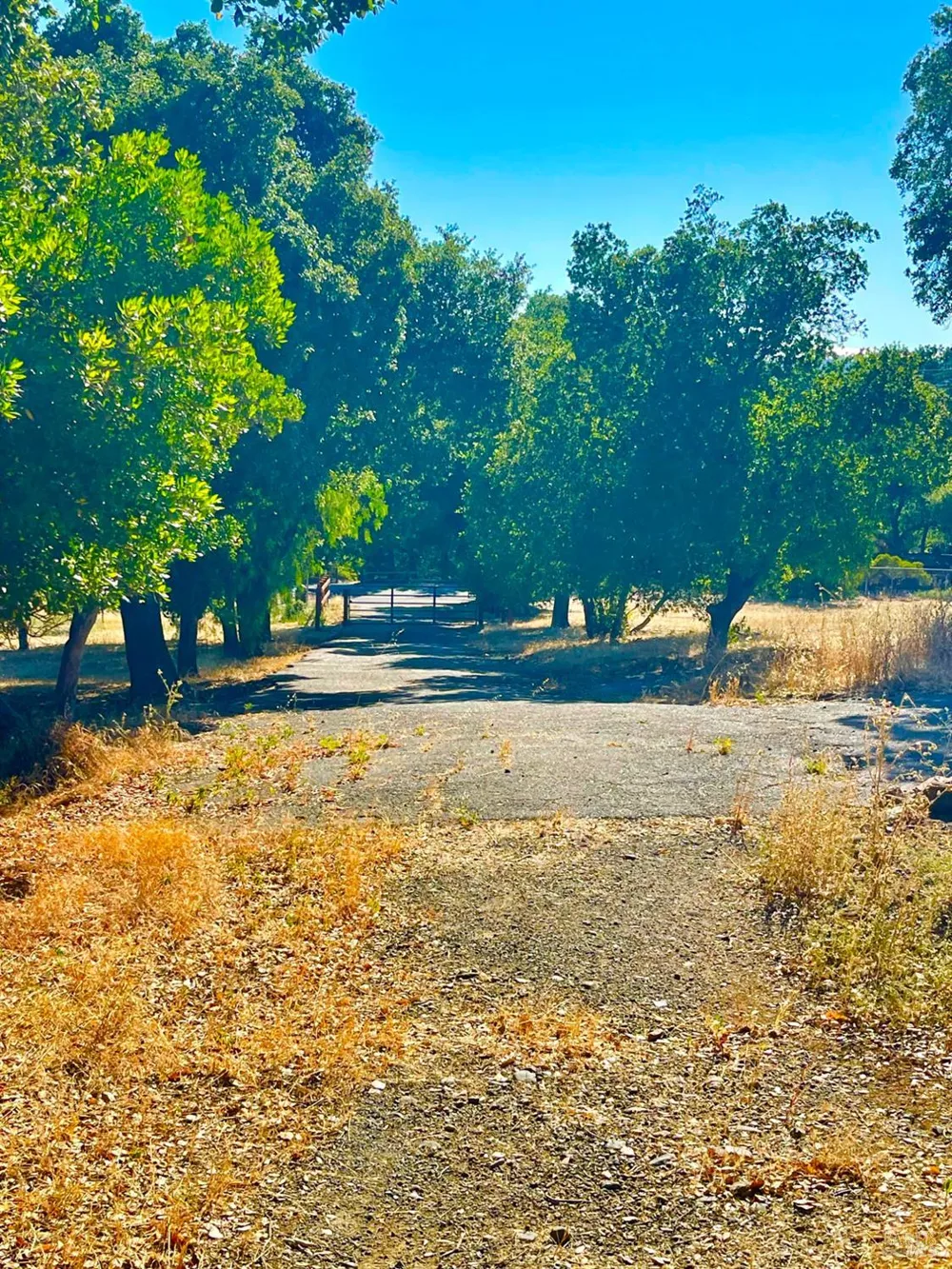 189 El Camino Corto Walnut Creek, CA 94596