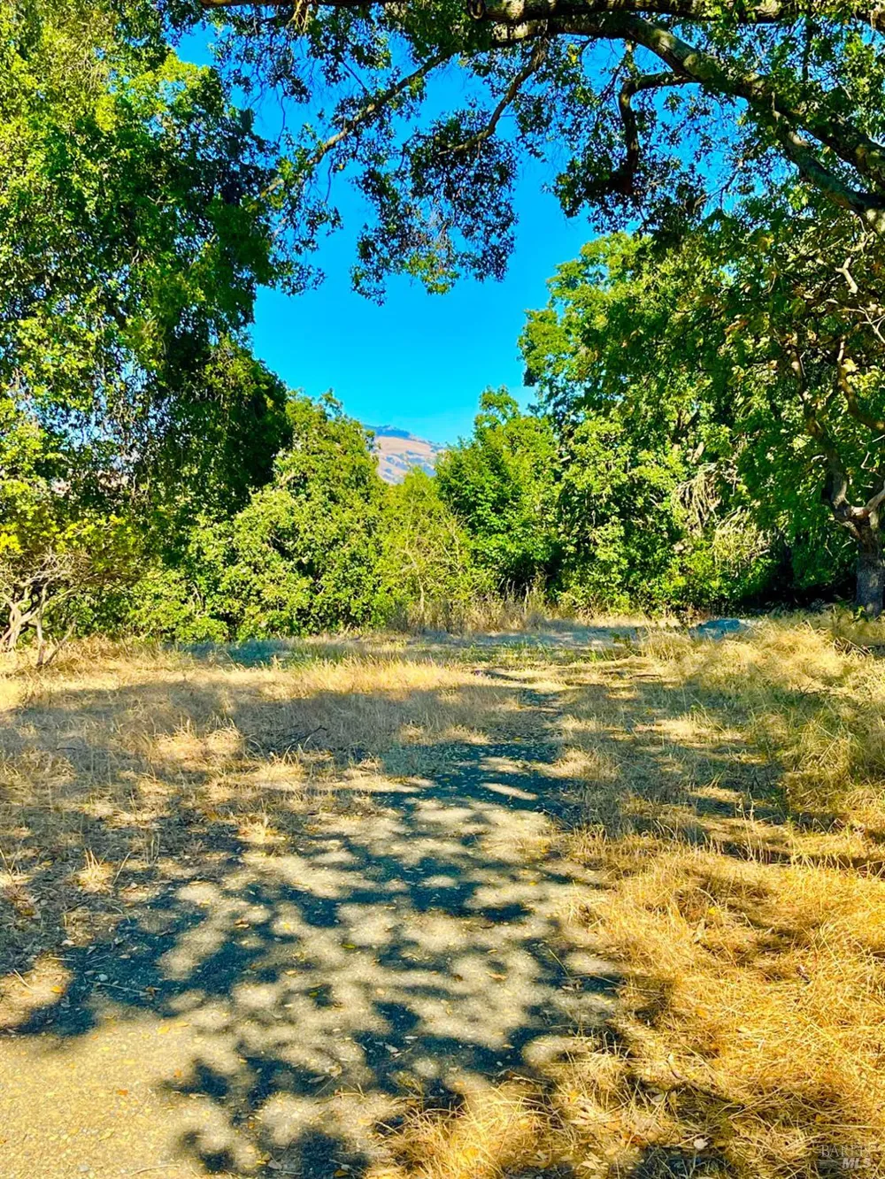 189 El Camino Corto Walnut Creek, CA 94596