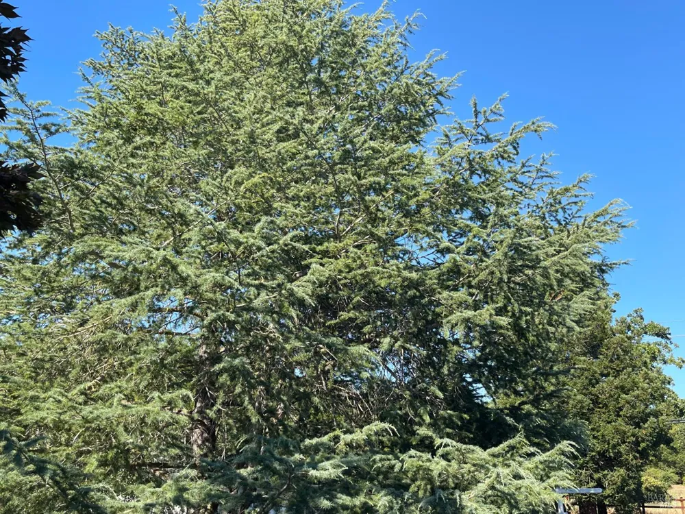 189 El Camino Corto Walnut Creek, CA 94596