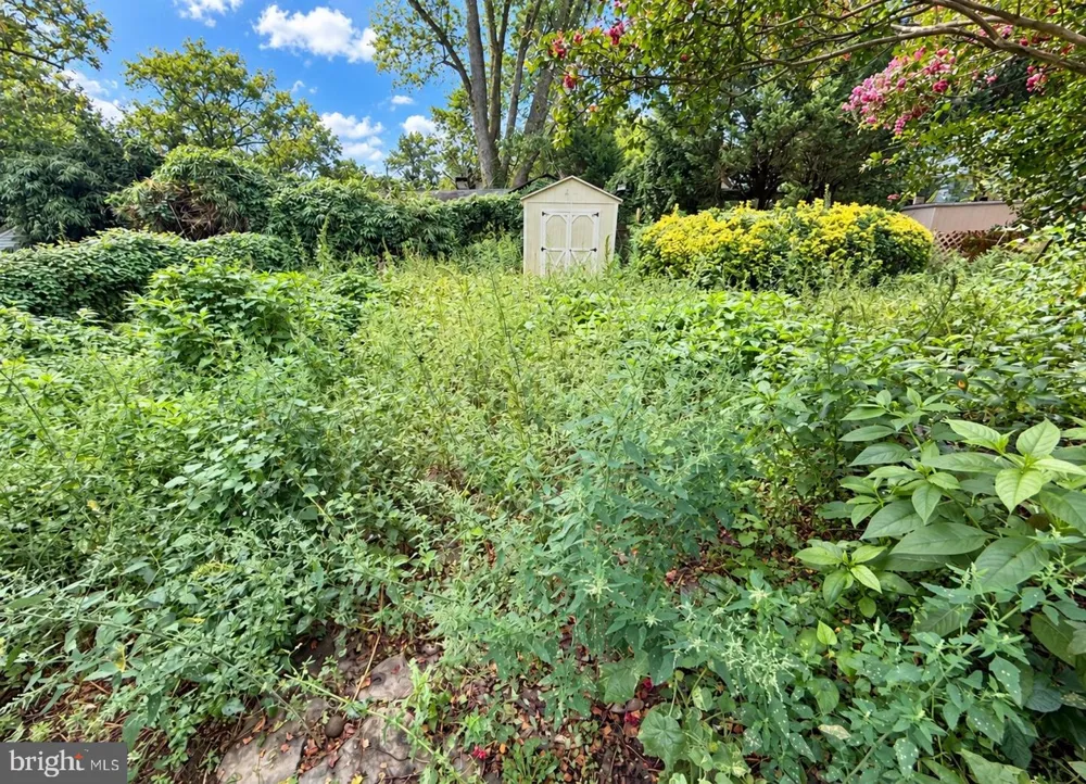 6637 FISHER AVENUE Falls Church, VA 22046