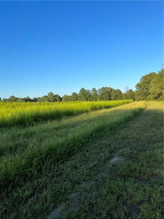 1110 GA-88 Blythe, GA 30805