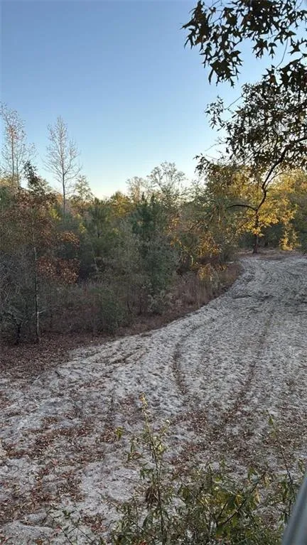 1110 GA-88 Blythe, GA 30805