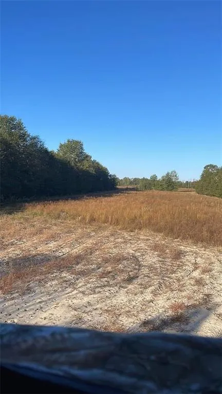 1110 GA-88 Blythe, GA 30805
