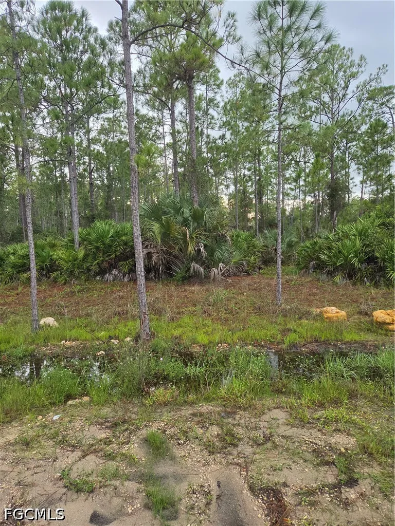 Truman Avenue Alva, FL 33920