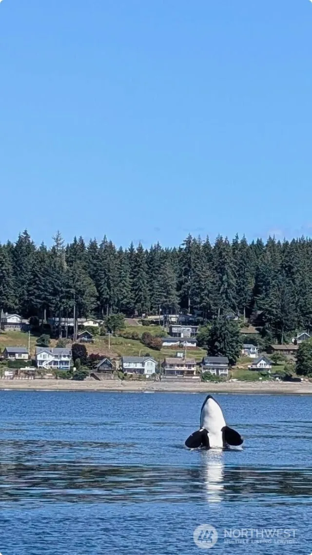 561 E Rauschert Road Grapeview, WA 98546