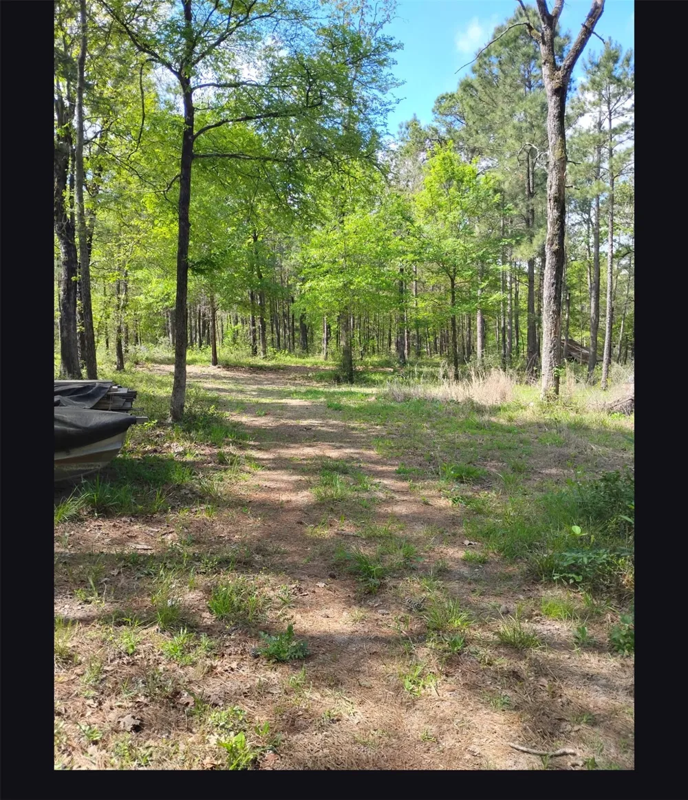 State Hwy 19 Huntsville, TX 77320