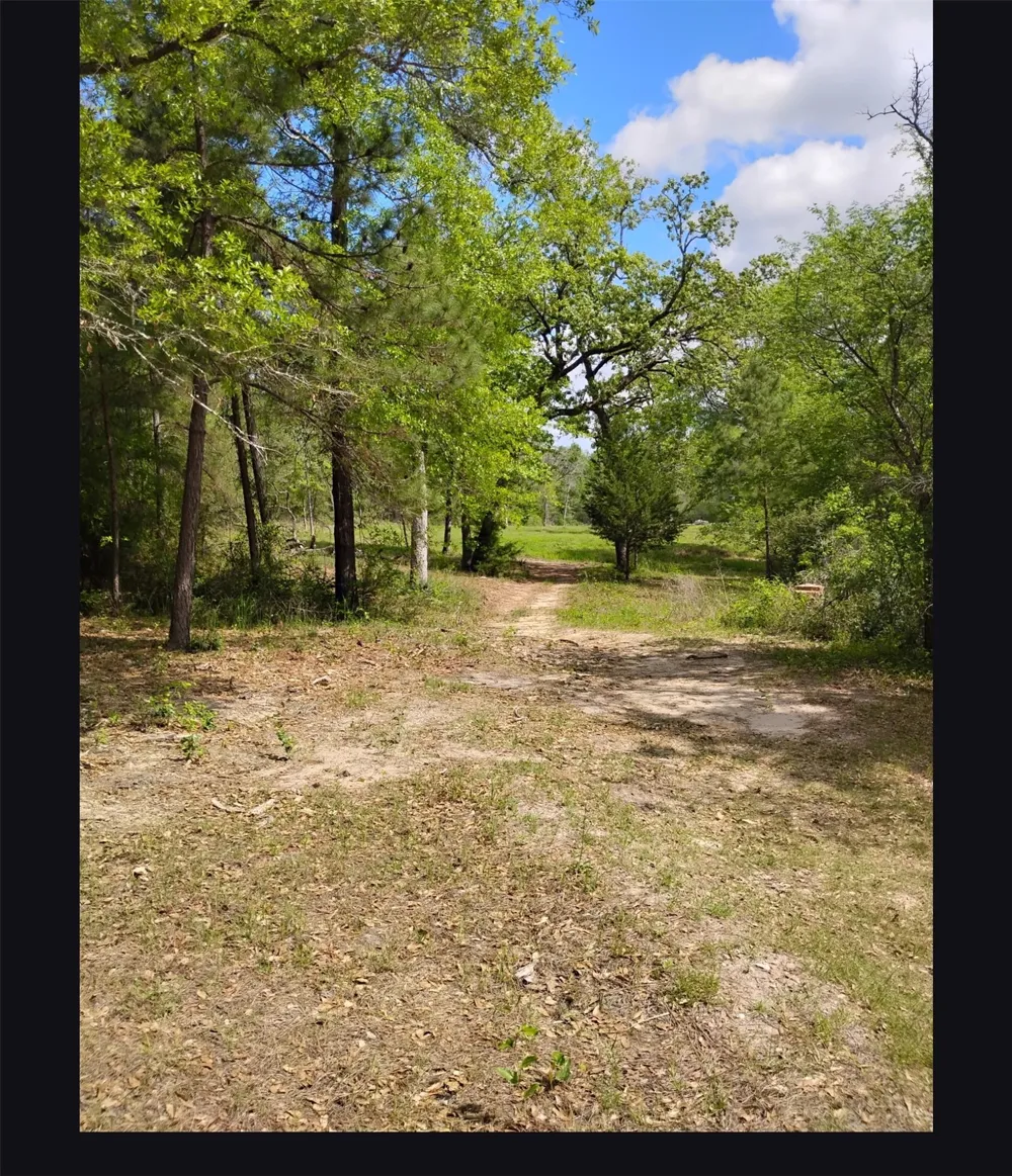 State Hwy 19 Huntsville, TX 77320