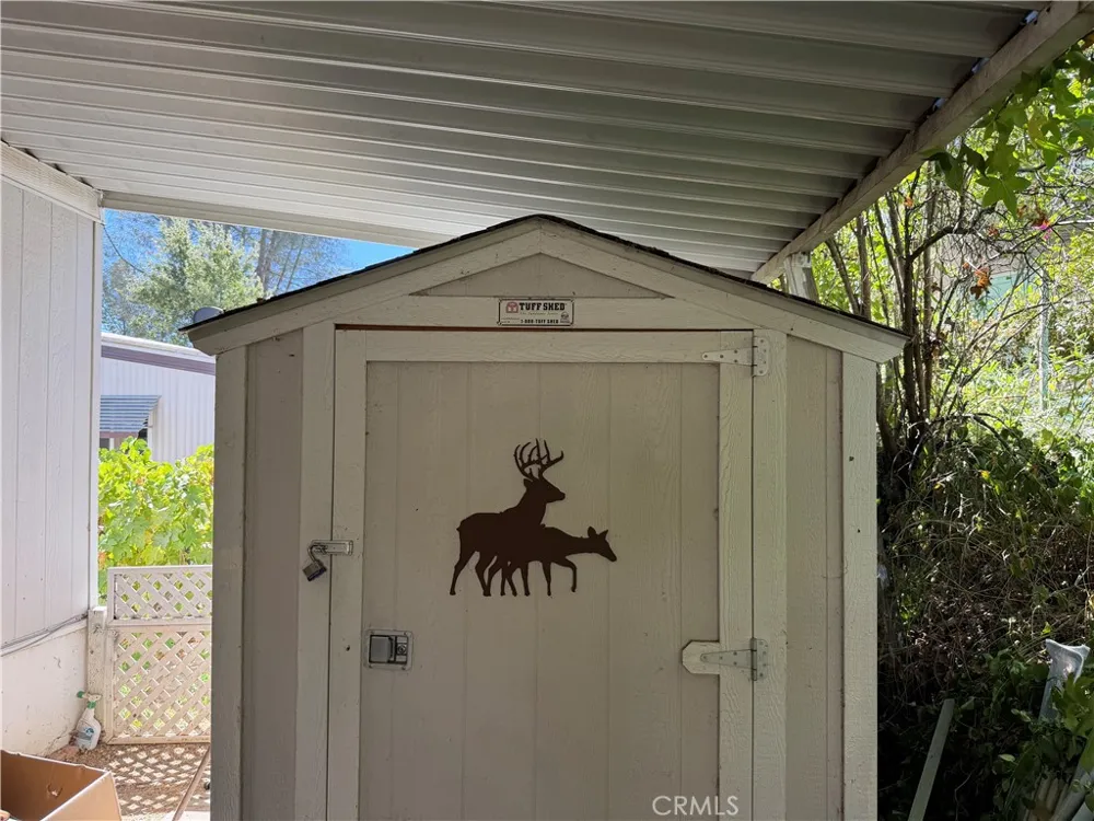 39678 Road 425B #81 Oakhurst, CA 93644