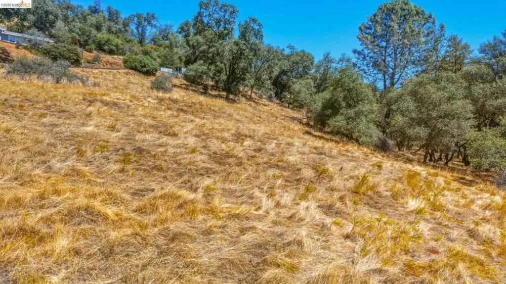22937 COLUMBIA VISTA DR Columbia, CA 95310