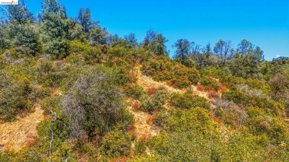 22937 COLUMBIA VISTA DR Columbia, CA 95310