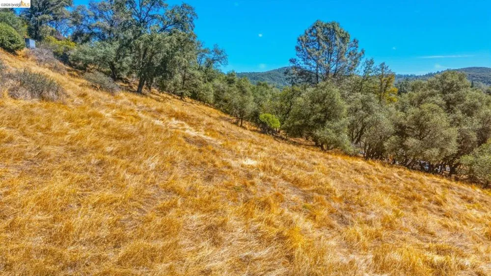 22937 COLUMBIA VISTA DR Columbia, CA 95310