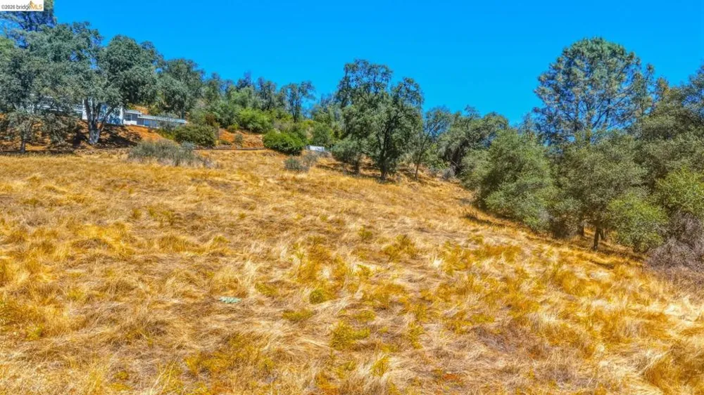 22937 COLUMBIA VISTA DR Columbia, CA 95310