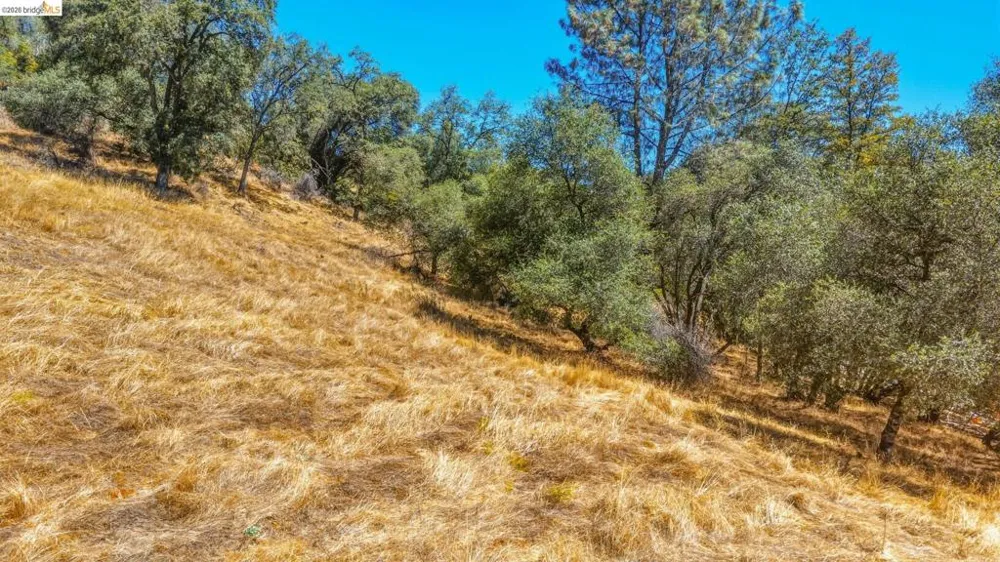 22937 COLUMBIA VISTA DR Columbia, CA 95310