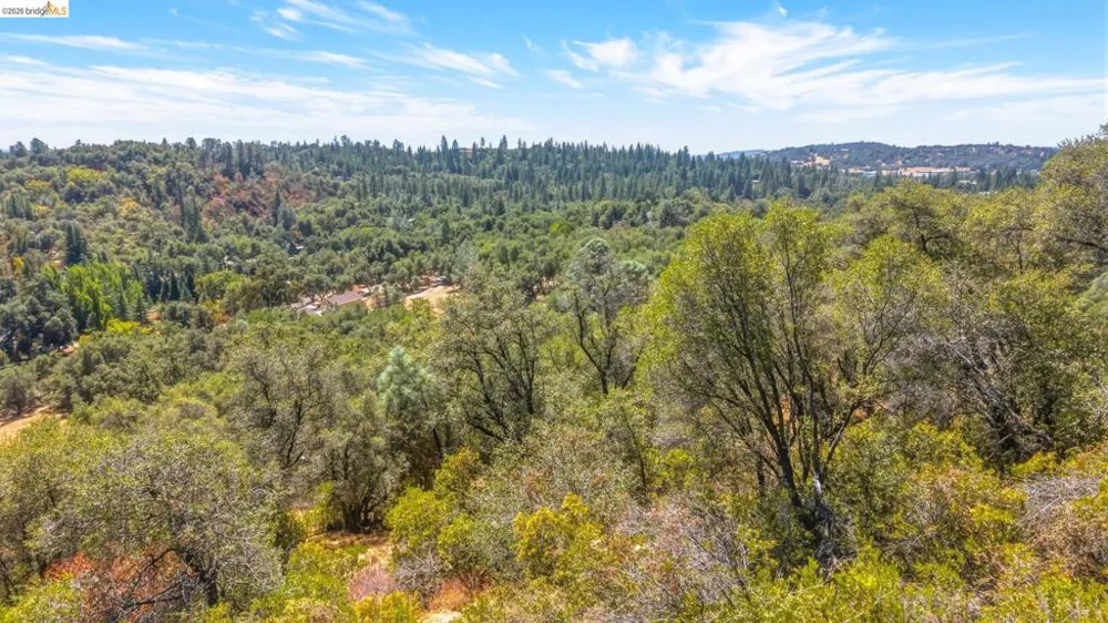 22937 COLUMBIA VISTA DR Columbia, CA 95310