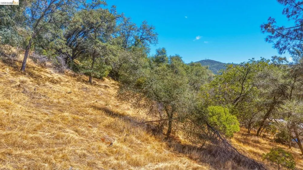 22937 COLUMBIA VISTA DR Columbia, CA 95310