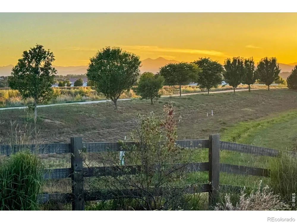 1573 Brolien Drive Windsor, CO 80550